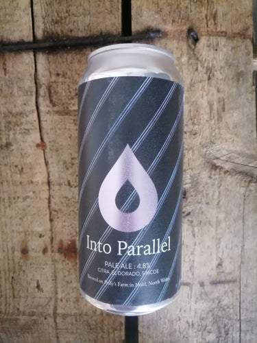 Polly's Into Parallel 4.8% (440ml can)