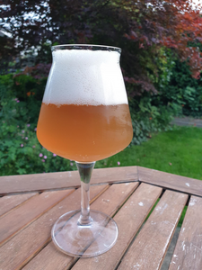 Homebrew Club Recipes - July 2019