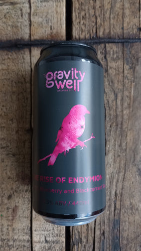 Gravity Well The Rise of Endymion 8.5% (440ml can)