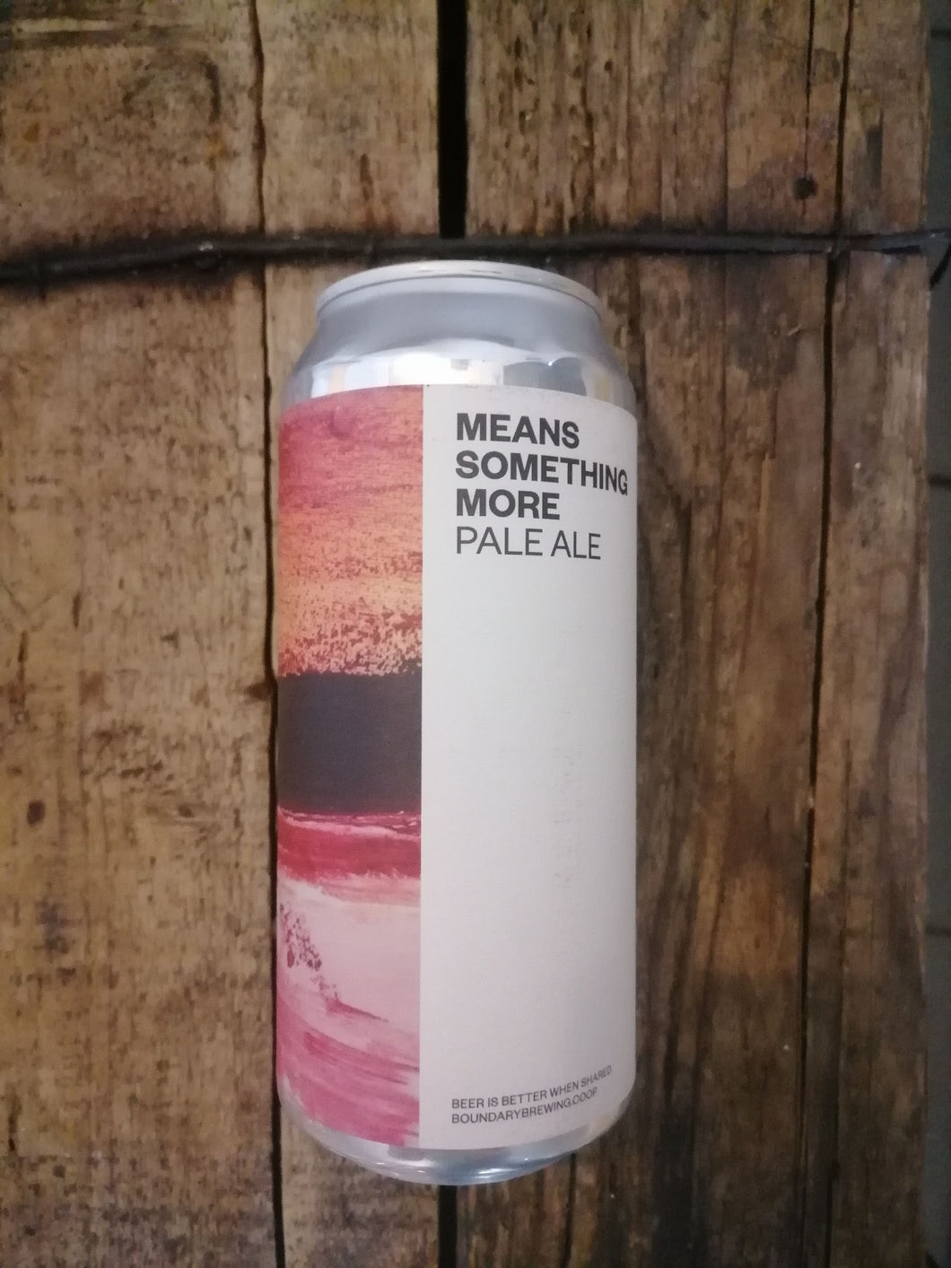 Boundary Means Something More 4.2% (440ml can)