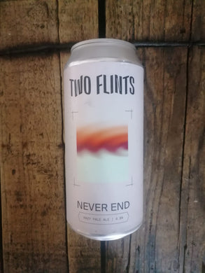 Two Flints Never End 4.8% (440ml can)