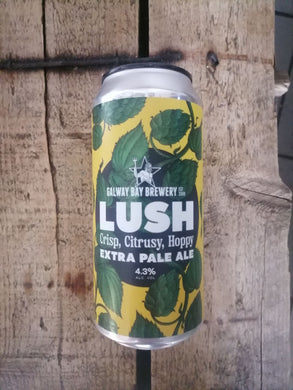 Galway Bay Lush 4.3% (440ml can)