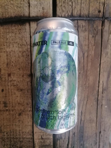 Cloudwater The Search For Truth Begins 4% (440ml can)