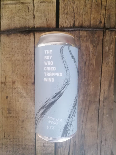 Pretty Decent The Boy Who Cried Trapped Wind 6.8% (440ml can)