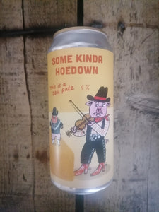 Pretty Decent Some Kinda Hoedown 5% (440ml can)
