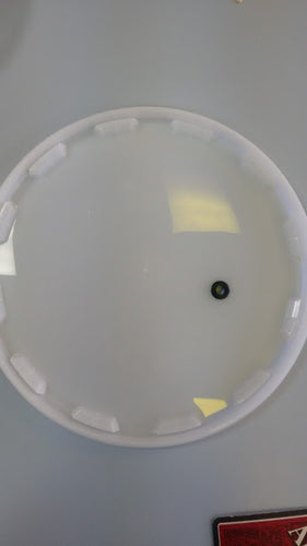 Fermentation Bin Lid - Hole and Grommet - 25 Litre - waterintobeer