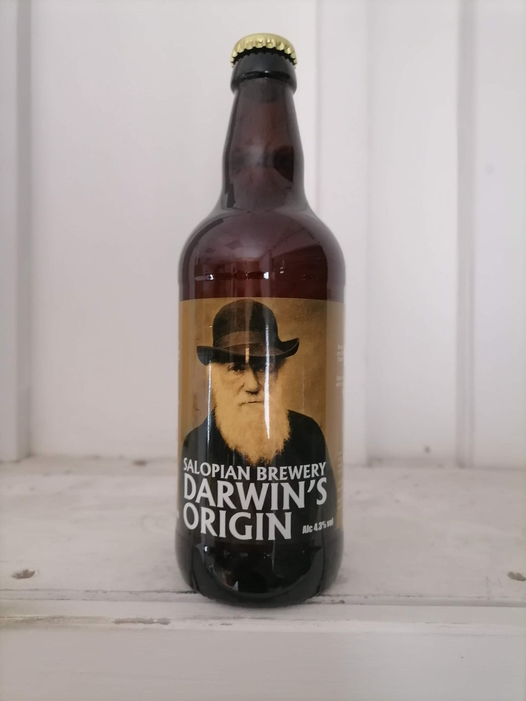 Salopian Darwin's Origin 4.3% (500ml bottle)